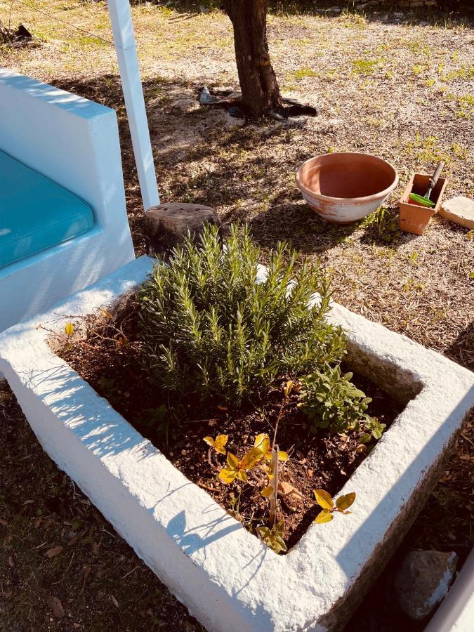 Villa Trulli Mancinella à Locorotondo Extérieur photo